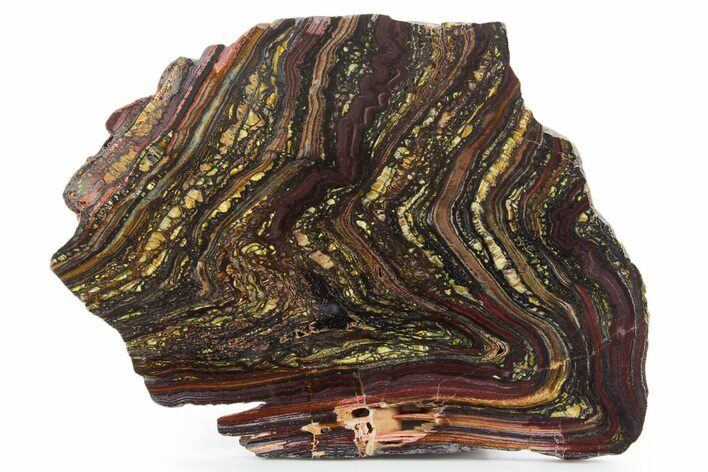 Polished Tiger Iron Stromatolite Slab - Billion Years #354898